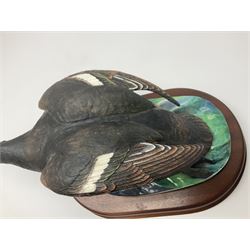 Crown Staffordshire model of a tufted duck, Model No 220/250, with wooden plinth base