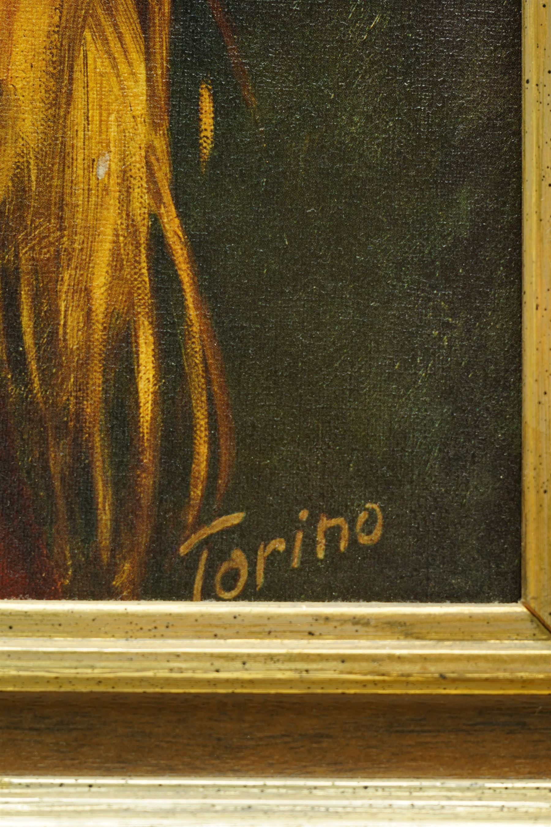 After Torino & H Walter (Mid-20th century): Portrait of a Mediterranean Woman and Romano Gypsy Girl, pair mid-century colour prints 58cm x 48, housed in matching gilt frames, overall 70cm x 60cm (2)