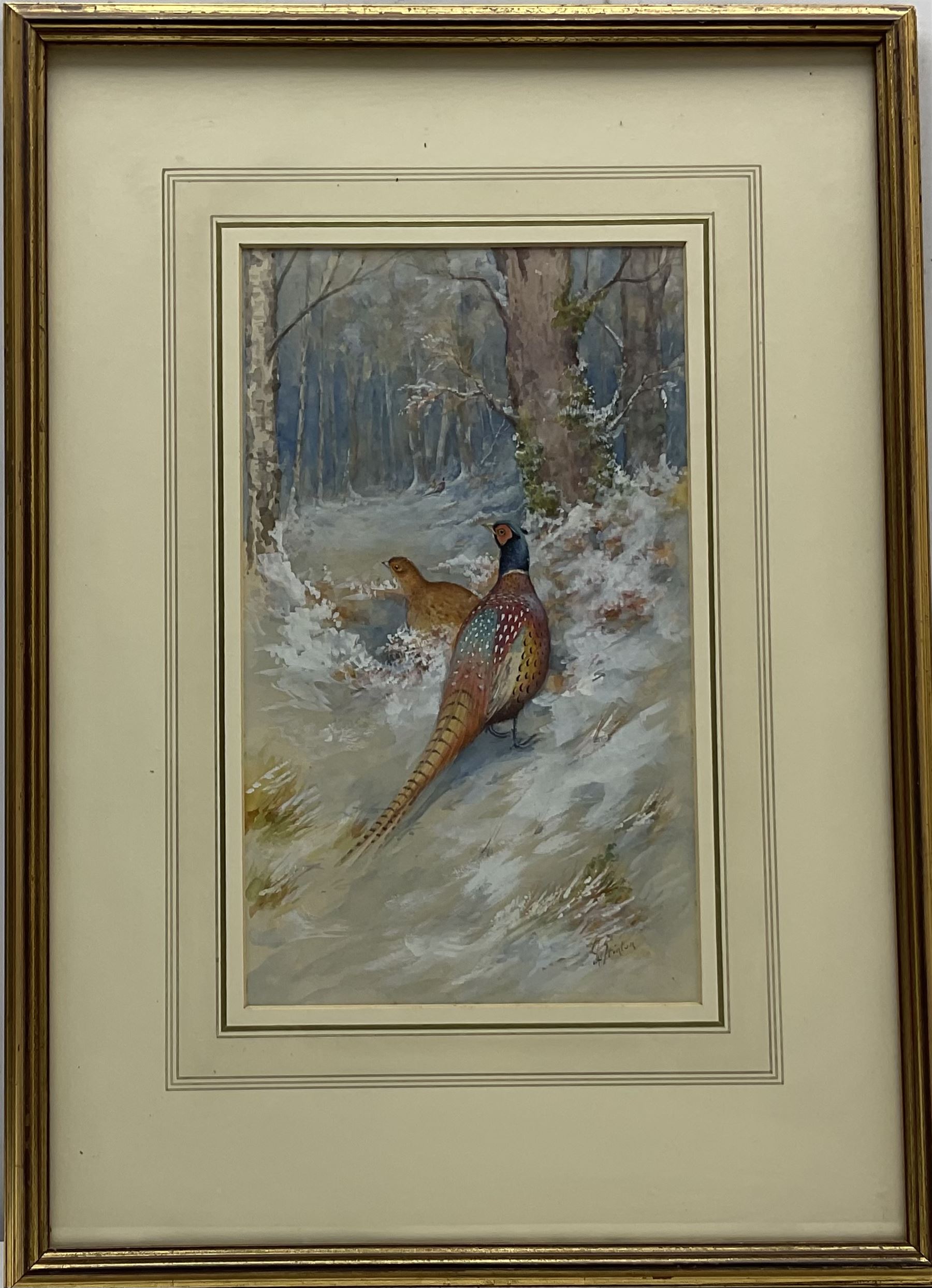 James Stinton (British 1870-1961): Pheasants and Grouse in Winter Landscapes, pair watercolours heightened in white signed 28cm x 16.5cm (2)