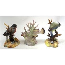 A Royal Worcester figurine modelled as a Red Hind, by R. Van Ruyckwilt, with mark beneath, H13.5cm, together with two Crown Derby figurines modelled as a Blue Tit, and Bullfinch, each with mark beneath. 