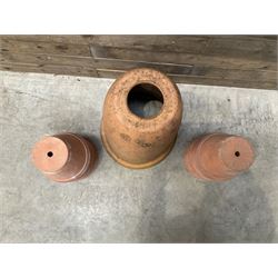 Yorkshire Flower Pots - Terracotta rhubarb forcer (H49cm, D40cm) and ten Sankey terracota plant pots (H17cm, D20cm)