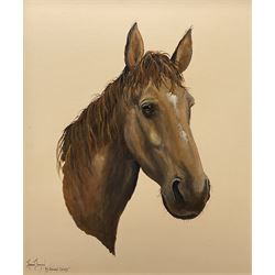 Adrian Thompson (British 1960-): My Beloved 'Candy' - Portrait of a Horse, oil on canvas signed and titled 60cm x 50cm