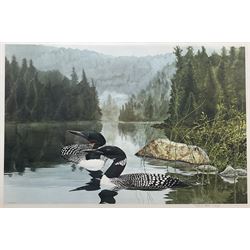 Frank DeMatteis (Canadian 1952-): Great Northern Divers, limited edition print signed and numbered 244/500, 58cm x 87cm