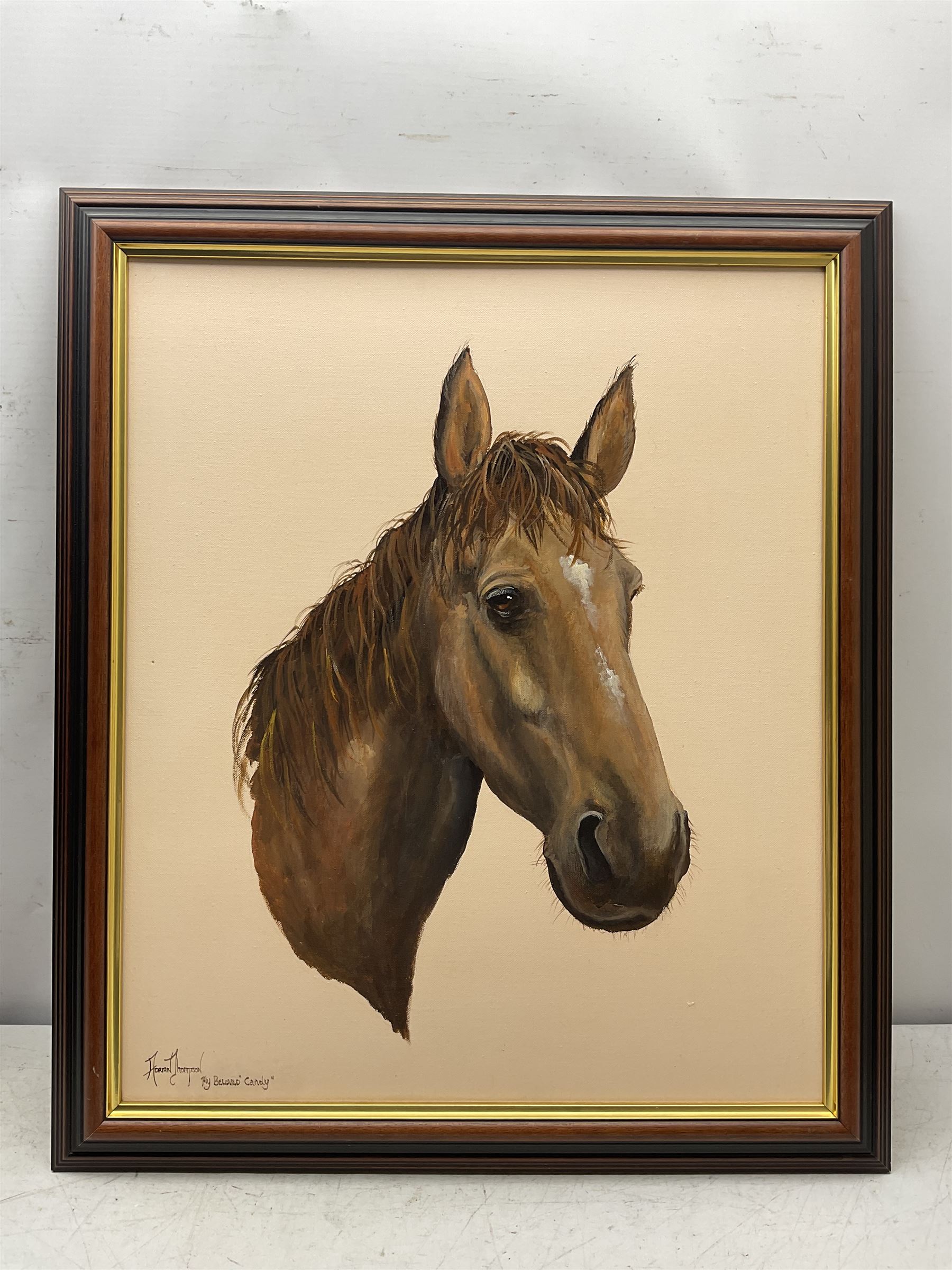 Adrian Thompson (British 1960-): My Beloved 'Candy' - Portrait of a Horse, oil on canvas signed and titled 60cm x 50cm