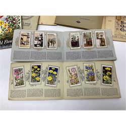 Vanity Fair Spy print, a Tory, together with six Royal Staffordshire the Biarritz side plates, and a collection of posters and ephemera 