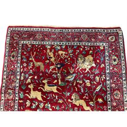 Persian Kashan design crimson ground rug, field decorated with hunting scenes of predatorial animals and prey with surrounding foliage patterns, the guarded border with palmette motifs and scrolling floral branches