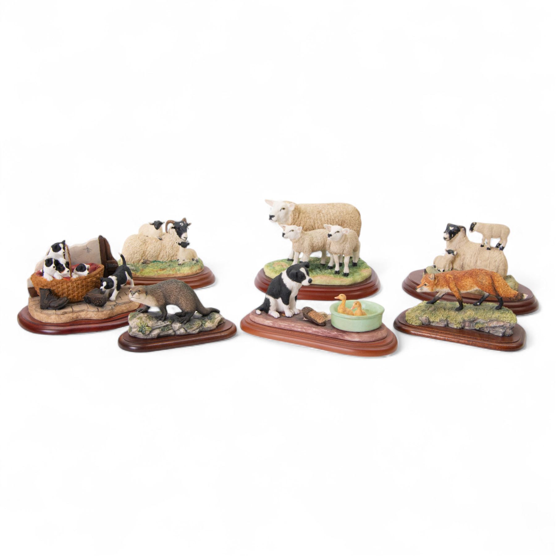 Seven Border Fine Arts animal figures, comprising Otter, Fox, Mummy's Boys, Wash Day, On The Farm, King of the Castle and Ewe & Lambs, all on wooden plinths
