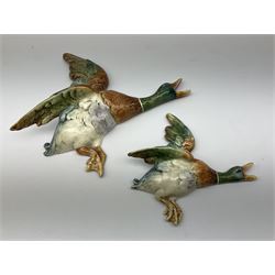 Two Royal Dux wall mounted ducks in flight, both with printed marks verso detailed Made In Czechoslovakia, and impressed marks, largest example L32.5cm, smallest example L21.5cm. 