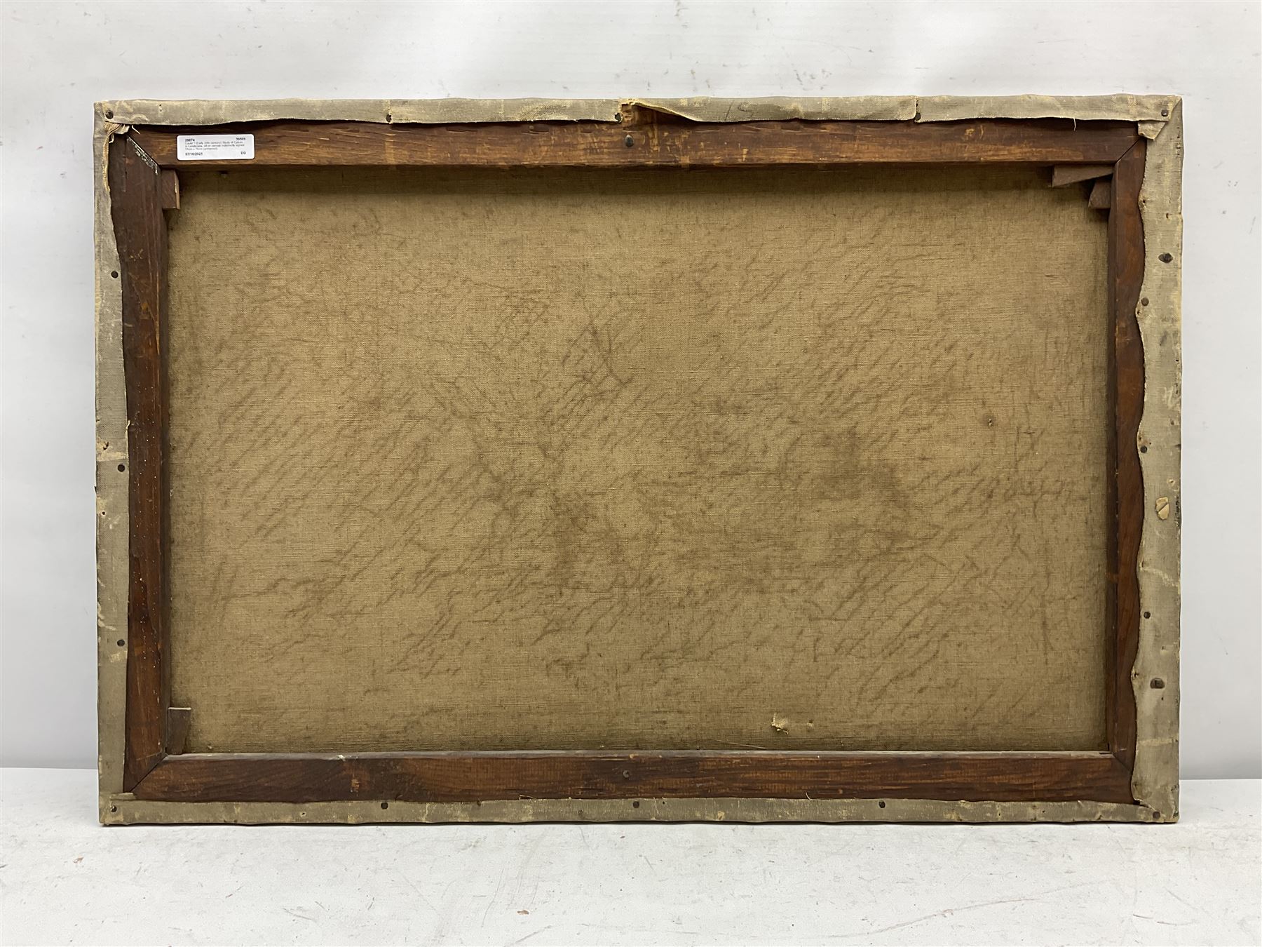 David Gauld (Scottish 1865-1936): Study of Calves in Landscape, oil on canvas signed 51cm x 76cm (unframed)