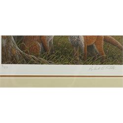 Robert E Fuller (British 1972-): Red Foxes in Long Grass, limited edition colour print signed and numbered 8/850 in pencil 20cm x 30cm