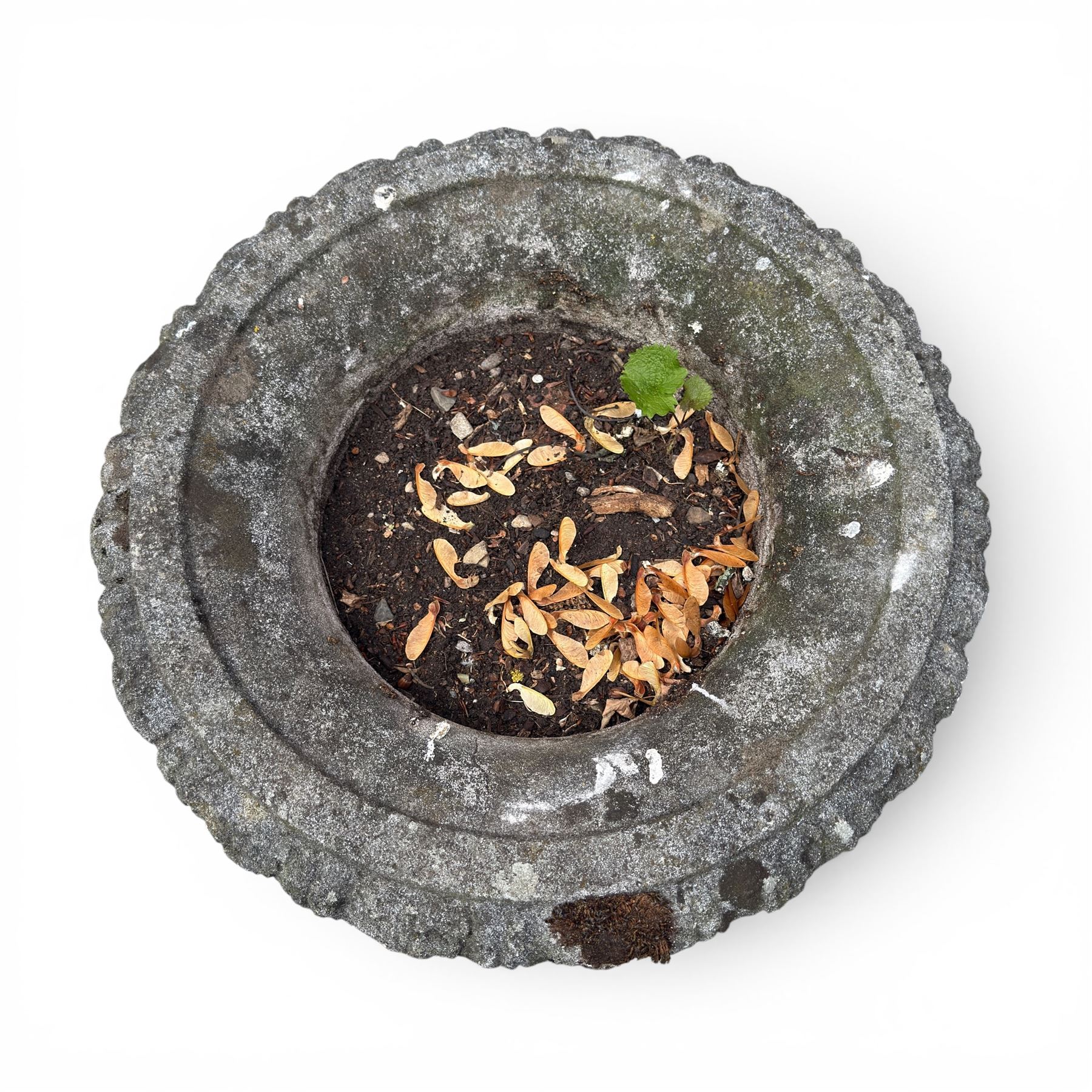 Pair of quality antique weathered three-piece composite stone garden urns, the flared rim moulded with repeating acanthus leaves, over a deep-relief campana body decorated with fruiting grapevines and ivy leaves, the gadrooned underbelly over a turned socle and square base