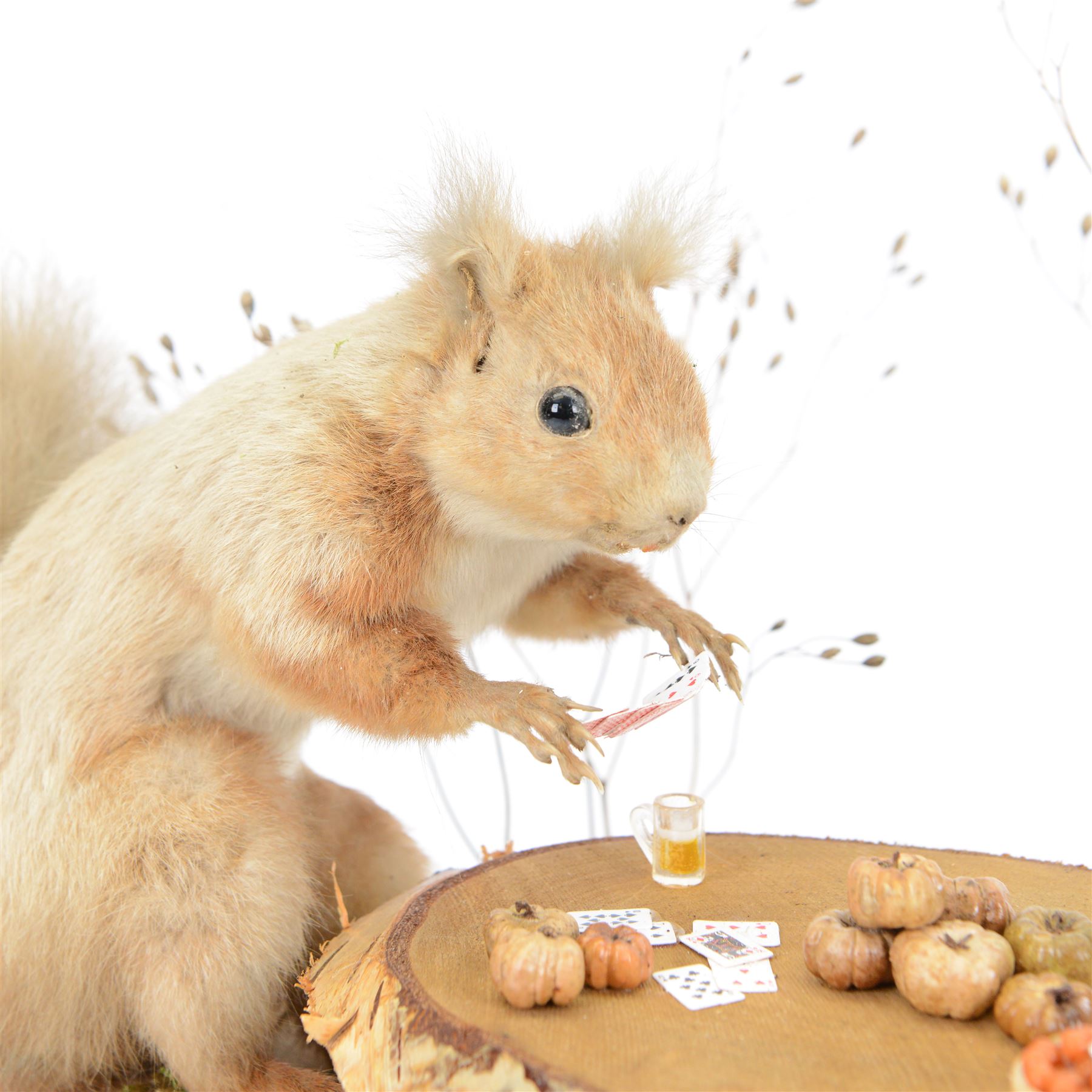 Anthropomorphic Taxidermy: Two red squirrels (Sciurus vulgaris) playing cards, both seated at a woodland table upon a naturalistic base, H34, L41cm