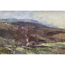 William B Dealtry (British 1915-2007): Waterfall, oil on board signed, titled on Fylingdal...
