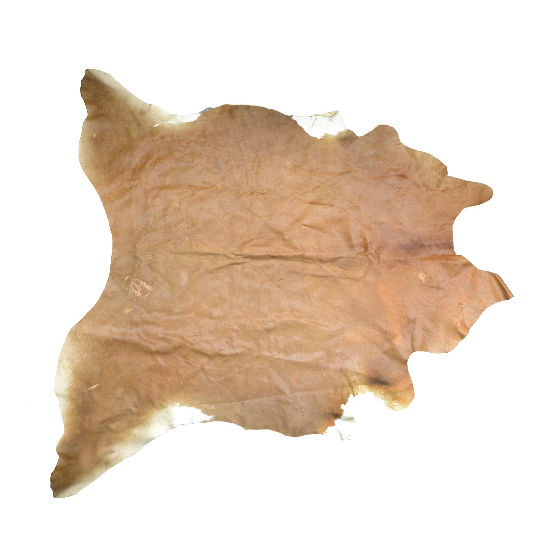 Skins/Hides: cow hide, adult hide rug with brown and white pattern, together with a pair of buffalo horn 