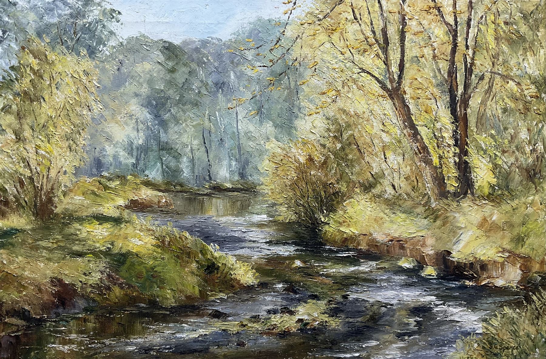 Sheila G Johnson (nee Spence) (British 20th century): 'Spring on Broad Beck' Thirsk, oil on canvas signed, titled on label verso 40cm x 60cm 
Notes: Sheila was the wife of Thornton-le-Dale artist Ken Johnson.