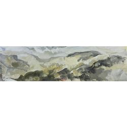 Peter Michael Hicks (Yorkshire 1937-): 'Little Fryup Dale', acrylic signed with initials and dated '97, exhib. Scarborough Art Gallery 'Celebrating the North York Moors', 2001, label verso 18cm x 63cm 