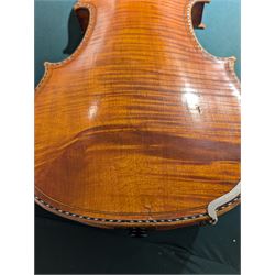 19th century full size European violin, spruce top, figured maple full back and sides, double purfling, in fitted case with two bows.