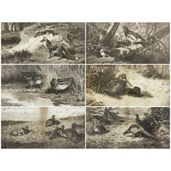 After Archibald Thorburn (Scottish 1860-1935): 'Snipe' 'Partridge' 'Ryper' 'Woodcock' 'Pheasant' 'The First Far-Away Echo' and Grouse, set nine black and white prints pub. Swan Electric Engraving co. c.1896, three signed in pencil 24cm x 41cm (9)