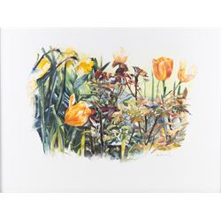 Annette Kane (British 1955-): 'Two Spoons' and Still Life of Tulips, two watercolours signed, one titled verso, 33cm x 48cm and 55cm x 74cm (2)
