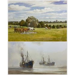 David C Bell (British 1950-): 'St Elstan' Hull Trawler, watercolour signed 25cm x 34cm; Michael Anthony Clark (British 20th century): Cattle Grazing, watercolour signed 29cm x 51cm (2)