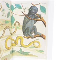 Albertus Seba; Cabinet of Natural Curiosities. The Complete Plates in Colour 1734-1765 Based on the copy in the Koninklijke biblitheek, The Hague, Published by Taschen, 