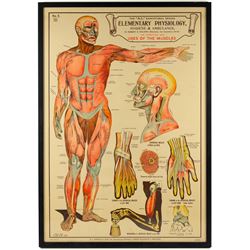 Complete set of eight 'AL Educational Series Elementary Physiology Hygiene and Ambulance' ...