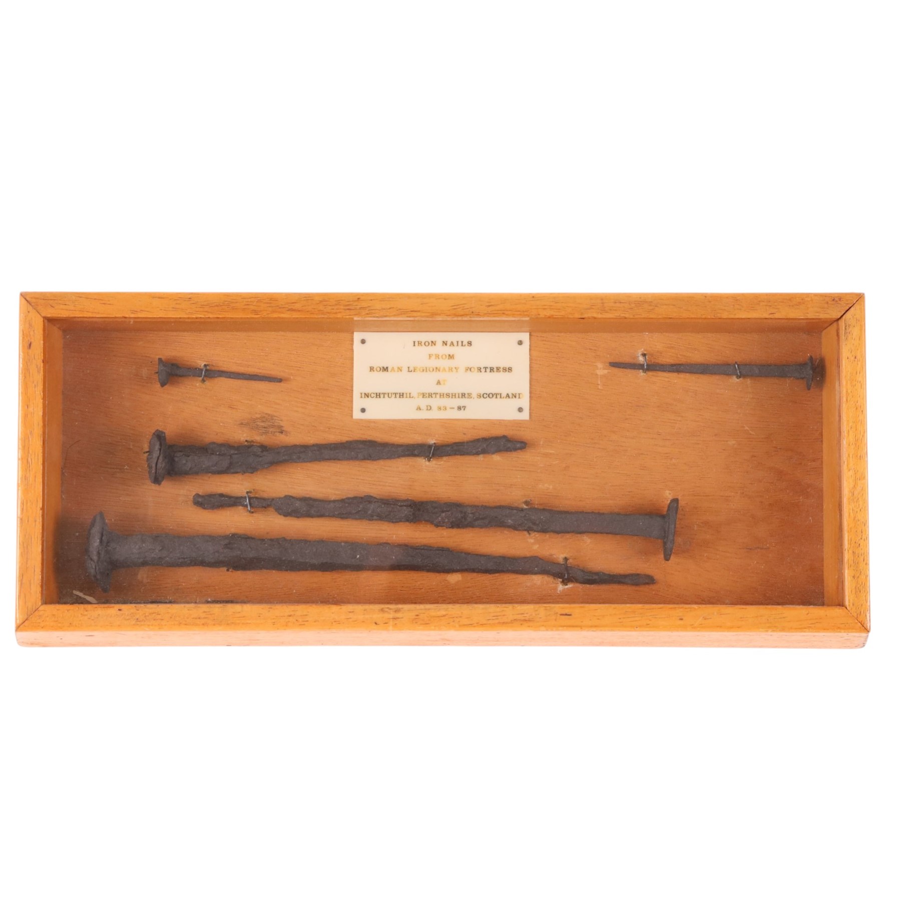 Set of Roman iron nails framed, from Roman Legionary fortress at Inchtuthil Perthshire, Scotland Ad 83-87