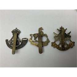 Twenty cap badges including Hertfordshire, Royal Sussex, Cambridgeshire, Hampshire, Notts and Derby, East Surrey, Herefordshire, South Lancashire, Devonshire, Bedfordshire, Durham Light Infantry etc (20)