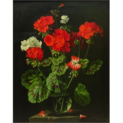 Gerald Cooper (British 1898-1975): Still Life of Geraniums, oil on board signed and dated 1952, 49cm x 39cm
Provenance: with The Fine Art Society Bond St. London; exh. The Ferens Art Gallery Hull 1970, No.43, labels verso

