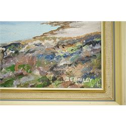 DE Bailey (Scottish 20th century): 'The Cuillins from Elgol Skye', oil on board signed 19cm x 27cm; William Russell (Scottish 20th century): 'Rhum Eigg', oil on board signed 16cm x 25cm (2)