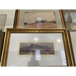 Collection of watercolours, artists including Ada Hill Walker, Henry Earp, E Mallinson, Thomas Sidney, EH Marten, Edwin Aaron Penley, etc (qty)