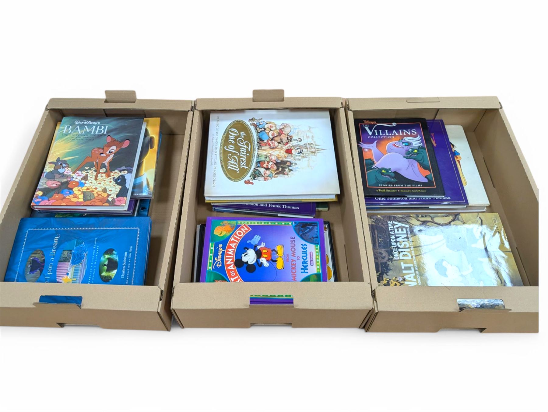 Collection of Disney animation and drawing books, including Art of Animation, The Fairest One of All, The Villains Collection, Once Upon a Dream, etc in three boxes