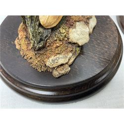 Quantity of Country Artists figures, comprising Woodland Visitors G800, Otter Family CA 552, Barn Owl CA 431, Wren CA 81, Mouse and Acorn CA784, Kingfisher - Broadway CA422, Early Days - Barn Owlets CA 720, together with two Border Fine Arts figures comprising Woodcock by James Harvey, 1985 and First Outing, Many with original boxes (9)