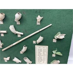 Annotated display board of clay pipes; rootwood walking stick and Yorkshire CCC signed cricket bat 2001