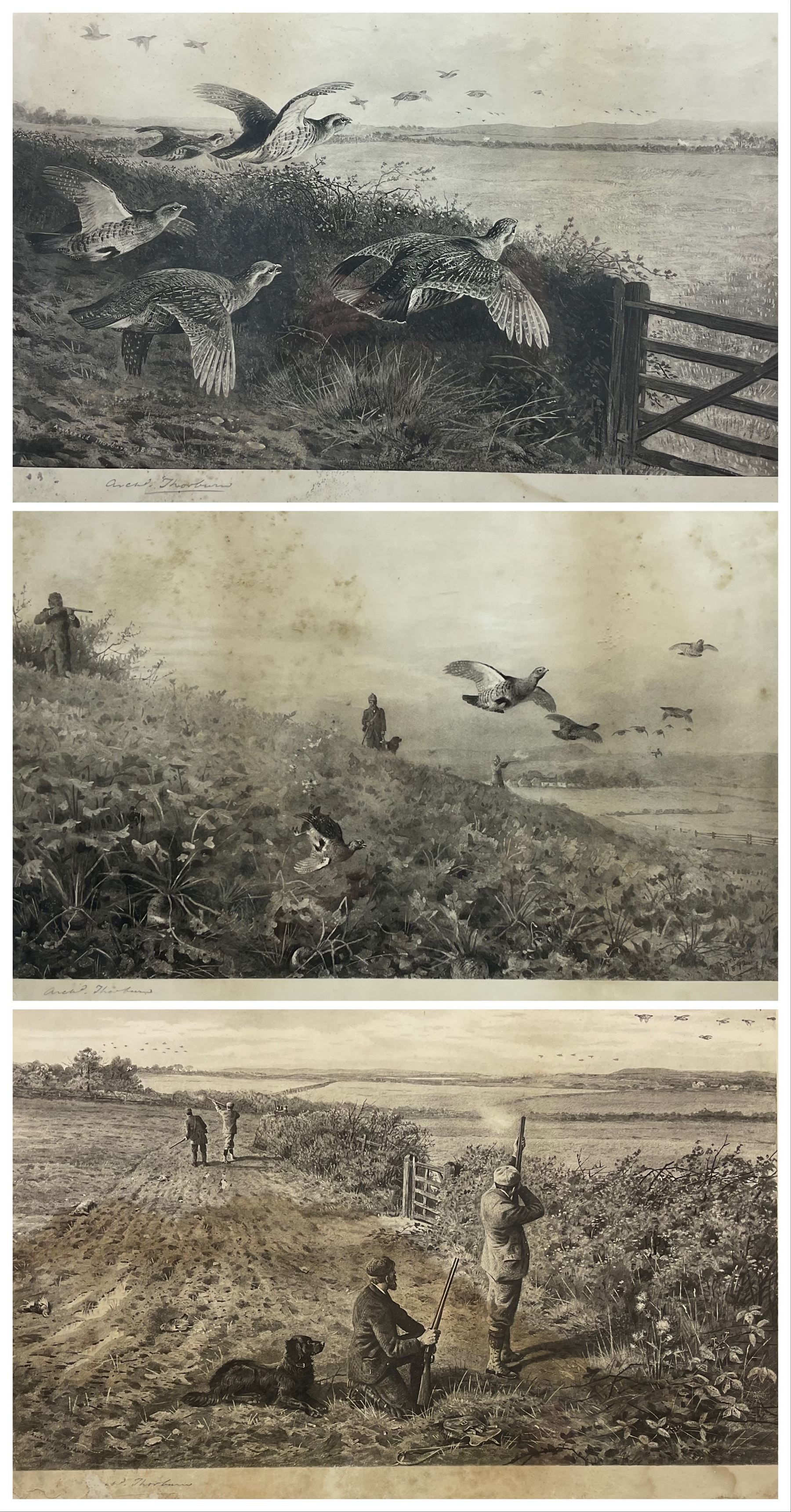 After Archibald Thorburn (Scottish 1860-1935): 'Snipe' 'Partridge' 'Ryper' 'Woodcock' 'Pheasant' 'The First Far-Away Echo' and Grouse, set nine black and white prints pub. Swan Electric Engraving co. c.1896, three signed in pencil 24cm x 41cm (9)