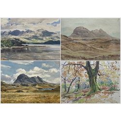 John Fielder (British 1960-): The Forest and the Hills, four watercolours signed max 36cm x 51cm (4)