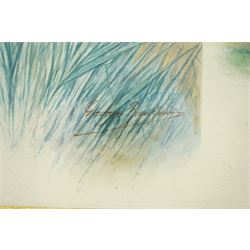 George James Rankin (British 1864-1937): House Martin and Herring Gull, two watercolours signed 33cm x 25cm (2)