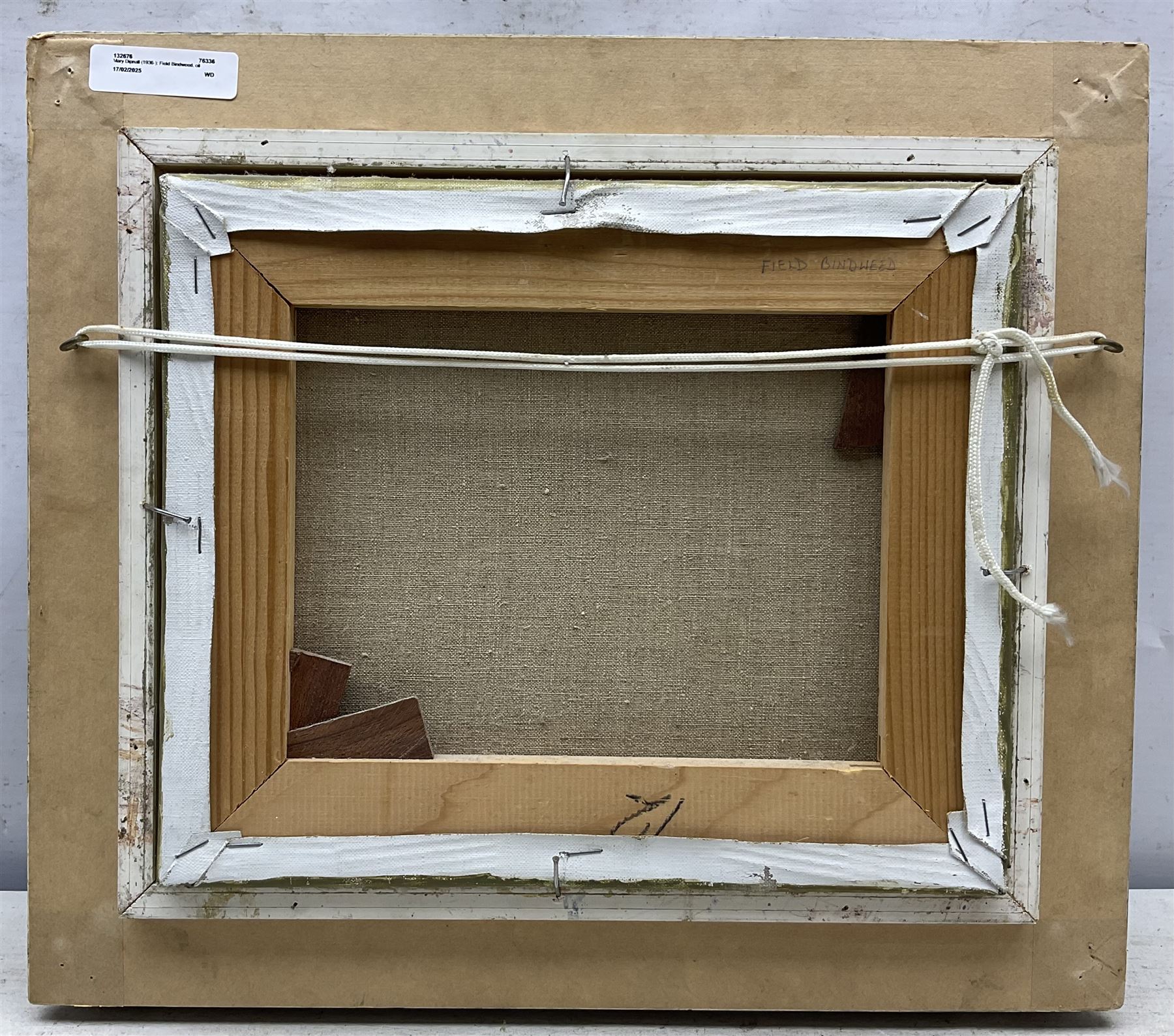 Mary Dipnall (British 1936-): 'Field Bindweed', oil on canvas signed, titled verso 23cm x 29cm 