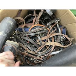 Quantity of horse tack to include bits, bridles, lunging equipment, brushing boots, tail guards, jodpa boots etc  