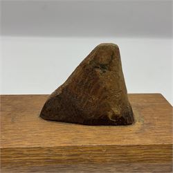 After Sydney March, bronze figure of horses head, wupon a wooden plinth, H17cm