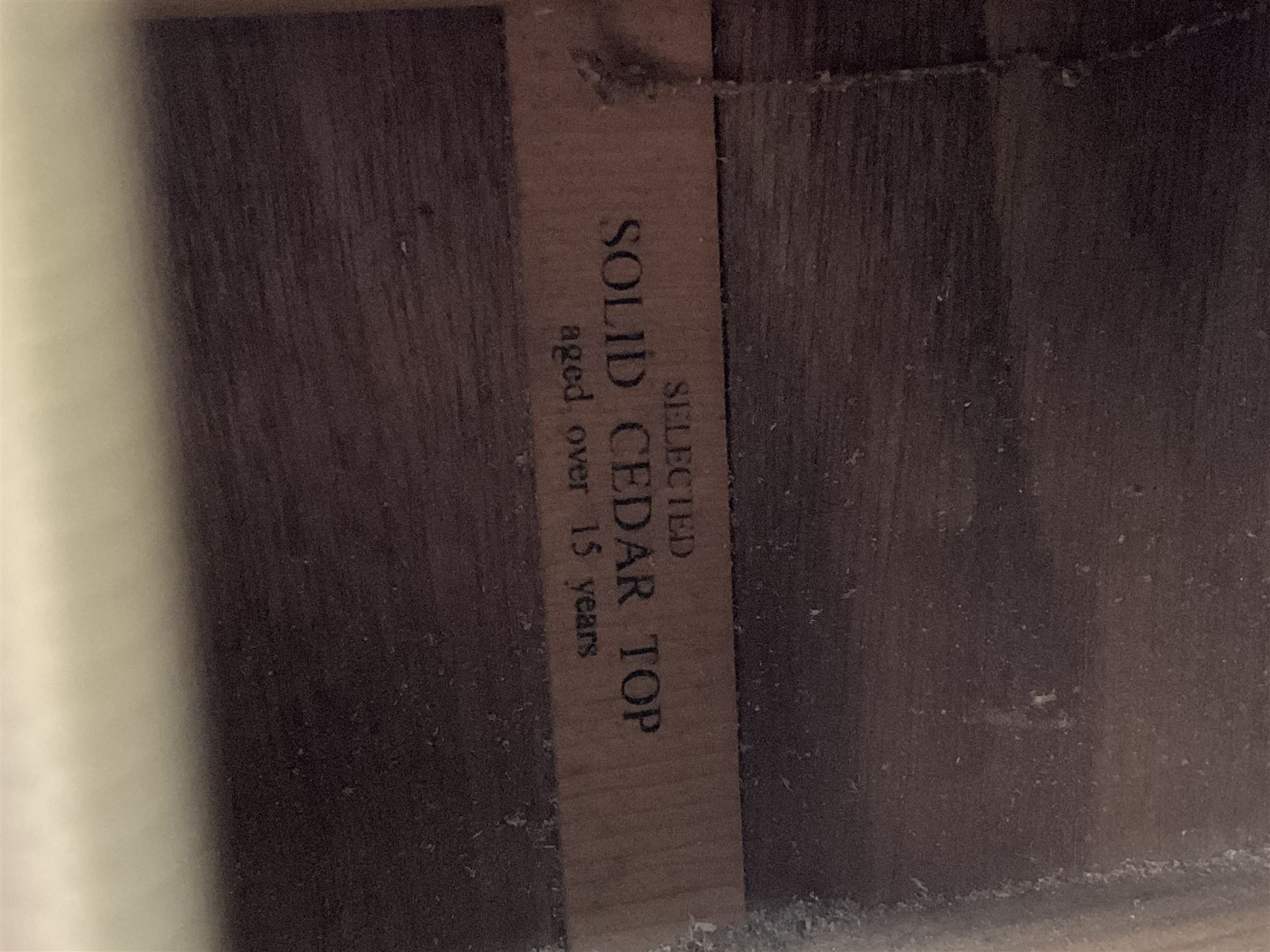 Tanglewood semi-acoustic guitar with Fishman preamp, mahogany back and solid cedar top L103cm; and a Rockbag electric guitar soft carrying case (2)