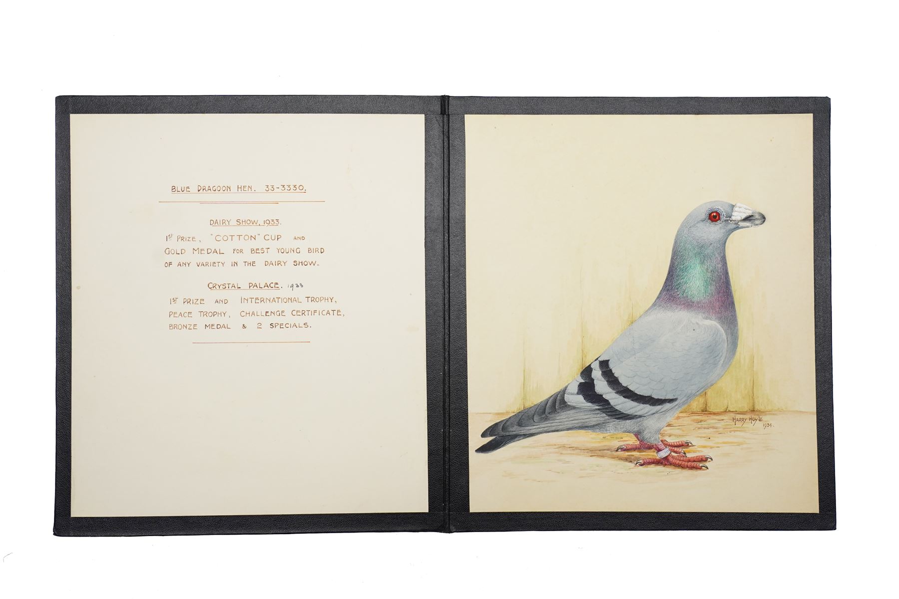 Harry Hoyle (Early 20th Century): Racing Pigeons - 'Blue Dragoon Cock 06-30' 'Blue Dragoon Hen 33-3330' and 'Blue Dragoon Cock 1918-22', set of three pencil and watercolours heightened with white, each signed and dated 1933 or 1934, accompanied with the winning history of each pigeon, each approx. 20.5cm x 18cm (3)