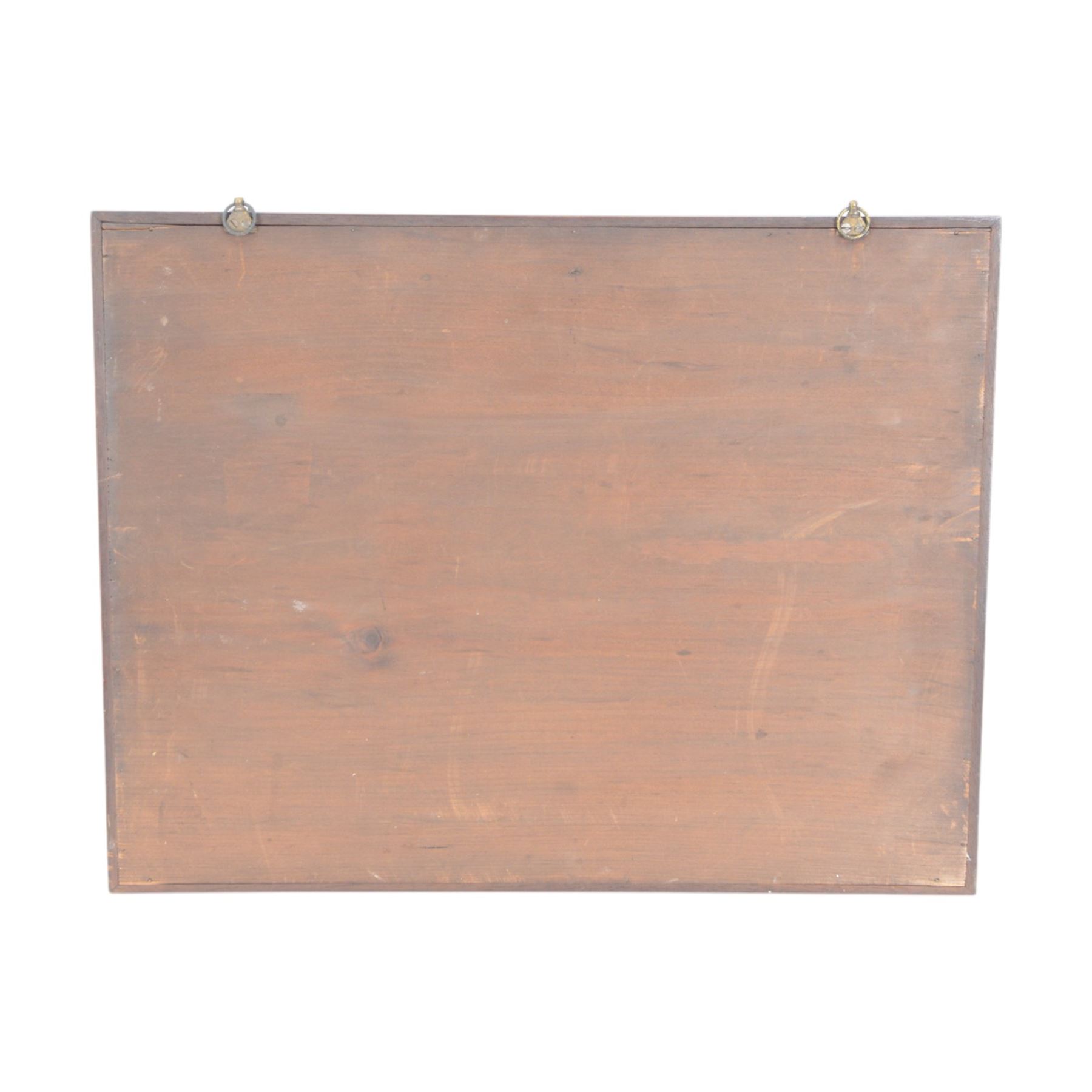 Entomology: Single glazed display of butterflies, single glazed display containing approximately fifty two various specimens, including Swollow tails, Small White, Peacock, all pinned with name labels below enclosed within a glazed entomology drawer, H36cm W46cm