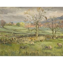 Angus Bernard Rands (Yorkshire 1922-1985): Dales Sheep Grazing, oil on board signed 40cm x 50cm