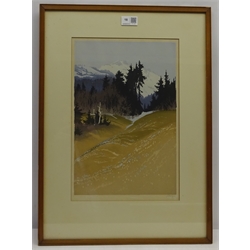  Oscar Droege (German 1898-1982): 'Spring in the Tyrol', coloured woodcut signed in pencil 38cm x 25cm  DDS - Artist's resale rights may apply to this lot     
