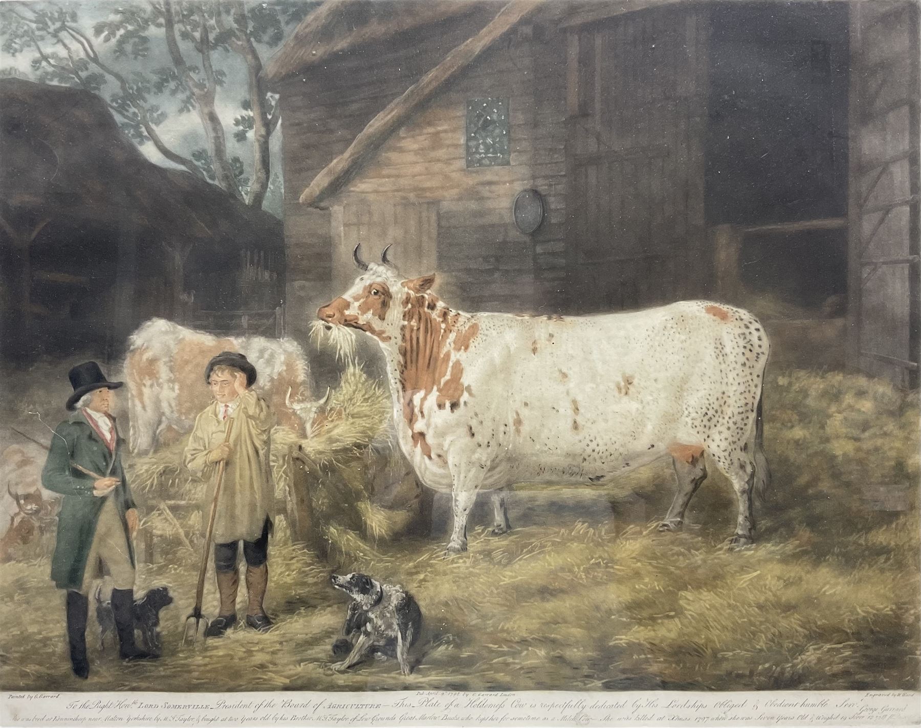 William Ward (British 1766-1826) after George Garrard (British 1760-1826): 'To the Right Hon Lord Somerville President of the board of Agriculture this plate of a Holderness Cow...', mezzotint with hand colouring pub. 1978, 47cm x 61cm