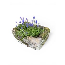 19th century weathered hewn stone planter of rectangular form, planted
