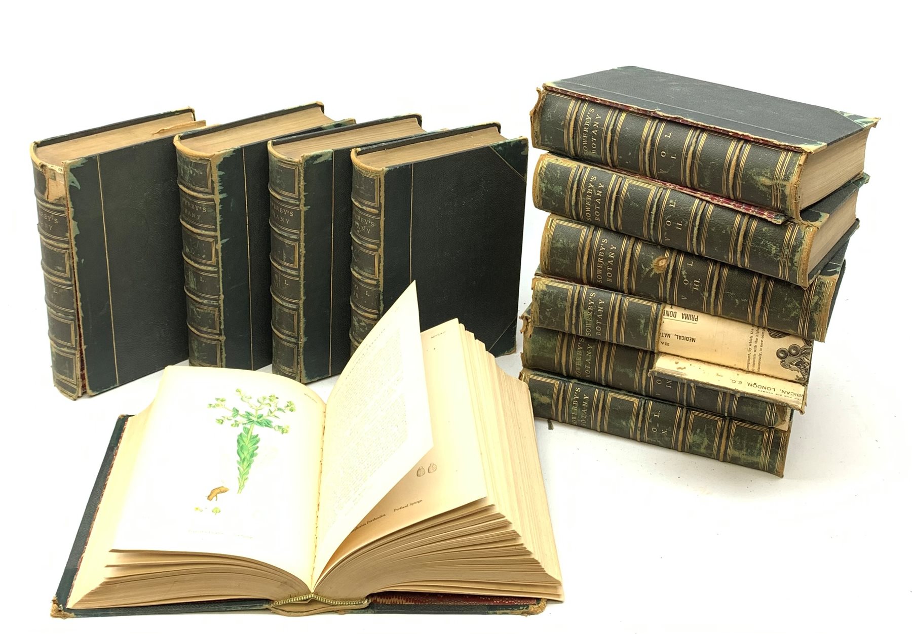  Sowerby John Edward: English Botany or Coloured Figures of British Plants. 1863-1872 Third edition. Eleven volumes. Coloured plates throughout. Uniformly bound in green half morocco with gilt panelled spines.  