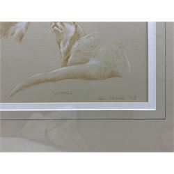 John Naylor (British 1960-): 'Otters', crayon and chalk signed titled and dated '93, 24cm x 33cm