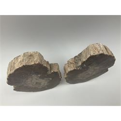 Pair of polished petrified wood slices, sliced in cross-section and polished to both sides, some growth rings still visible, texture to edges, L12cm, W9cm